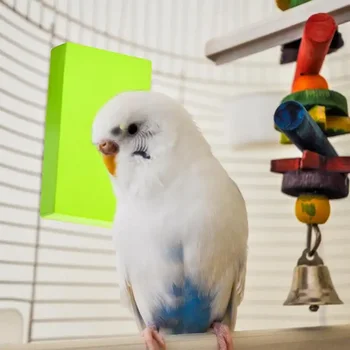 Isıtıcı Kuşlar Levrek Termostat Kuş Kafesi Elektrikli Dayanıklı Isıtma Lambası Aksesuarları Bite Termostatik İsıtıcı