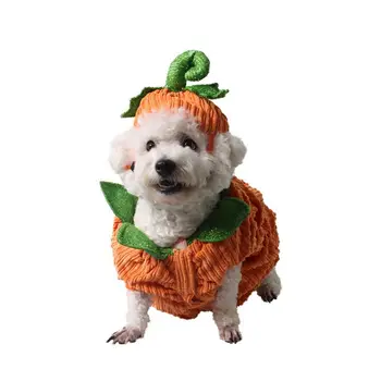 Yumuşak Pet Kabak Kostüm Kadife Rahat Kedi Cosplay Kabak Elbise Turuncu Şapka Cadılar Bayramı Evcil Hayvan Kostümleri Doğum Günü Partisi