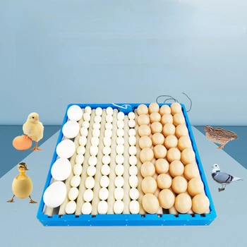 Incubadora Multifuncional Automático Pequeno Doméstico Incubadora Yumurta Tavası Frango Ördek Kaz Kuş Yumurta Tutucu 70 Rulo Yumurta Tavası